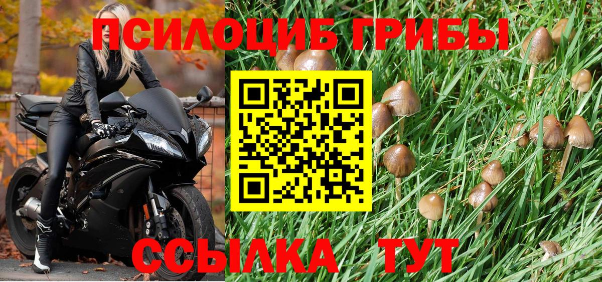 Псилоцибиновые грибы Magic Shrooms Йошкар-Ола