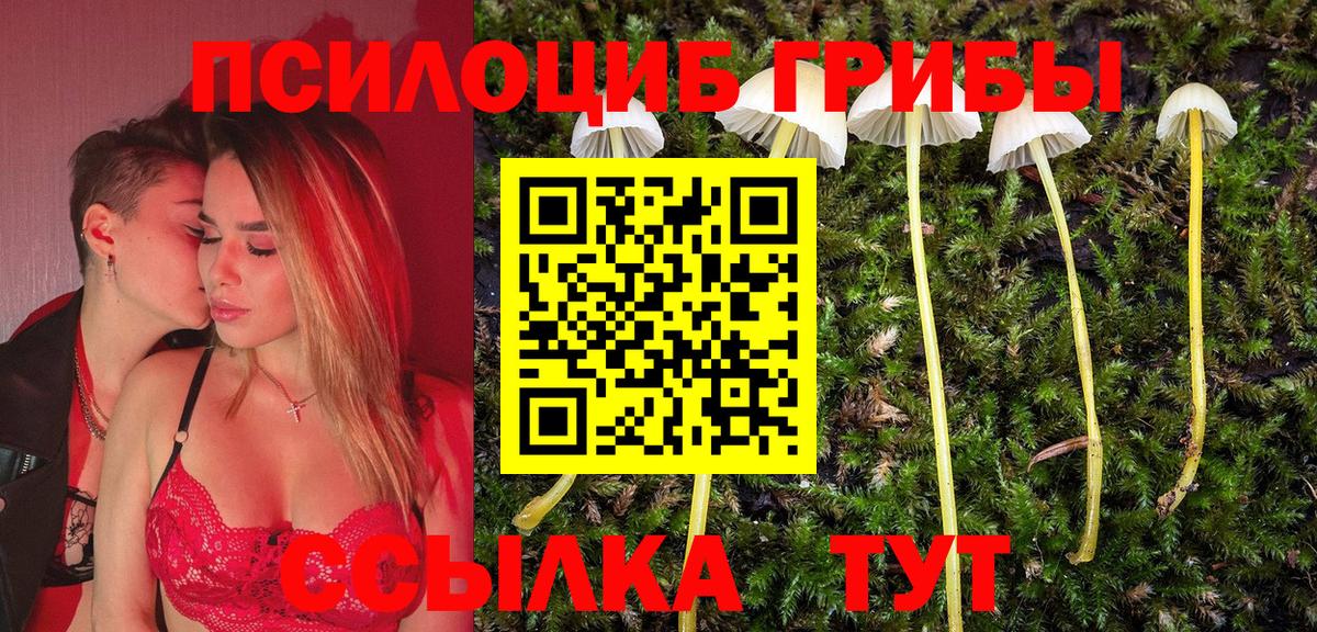Галлюциногенные грибы GOLDEN TEACHER  Вход с VPN  Йошкар-Ола  Галлюциногенные грибы ЛСД 